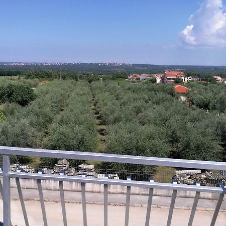 Apartment Coskovic Rosini Екстериор снимка
